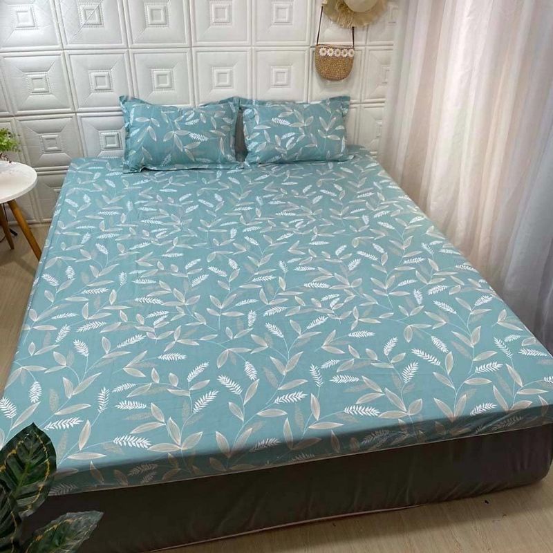 Bộ ga gối 3 món poly cotton 1m6. 1m8