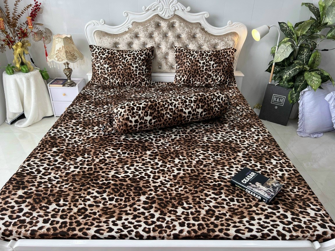 Bộ drap ga thun Hàn Quốc 2M2*2M(nệm 5-15cm) không mền