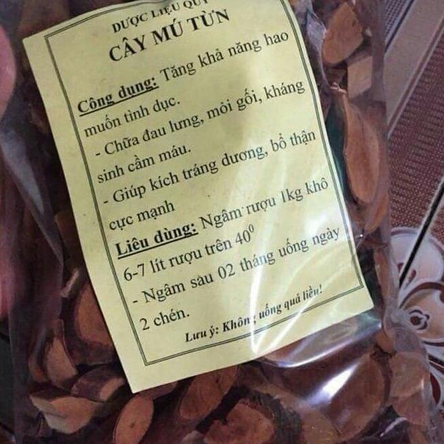Cây mú từn 1kg tráng dương bổ thận