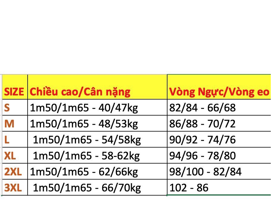 SET ÁO DÀI CÁCH TÂN CT05