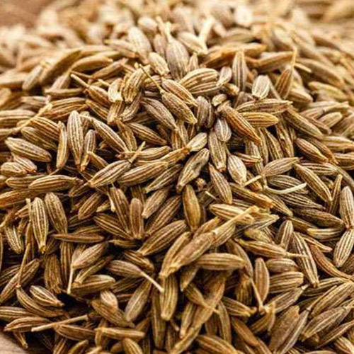 Cumin Seeds - Jeera - Hạt Thì Là Jeera (100g - 500g)