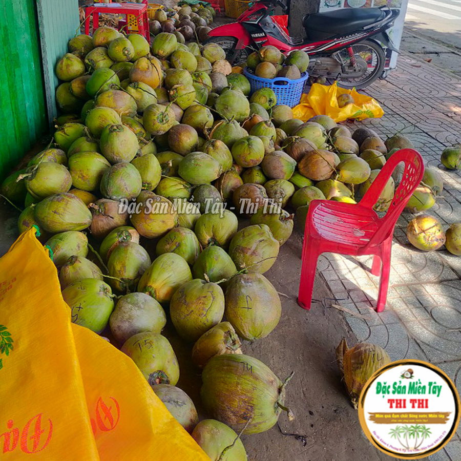 Dừa Sáp Thượng Hạng Loại 1 - Size Lớn (Trái 1.1Kg-1.2Kg)