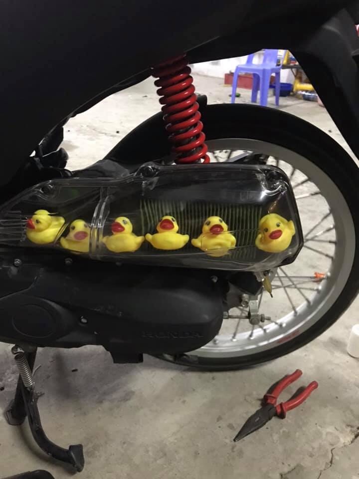 Ốp pô E trong suốt dành cho xe ESP Vision 2016-2019, có nhiều màu lựa chọn, chọn màu phí dưới, dễ dàng lắp đặt