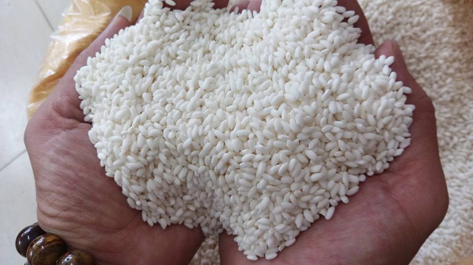 1kg NẾP CÁI HOA VÀNG LOẠI ĐẶC BIỆT