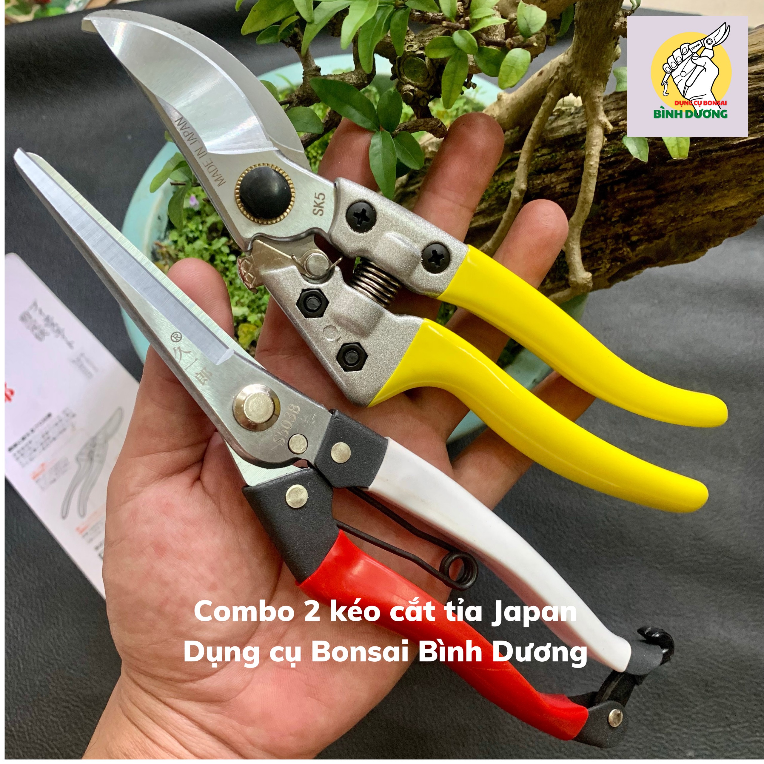 COMBO 2 KÉO CẮT TỈA JAPAN - SK5 [CHÍNH HÃNG] CẮT TỈA CÂY CẢNH BONSAI