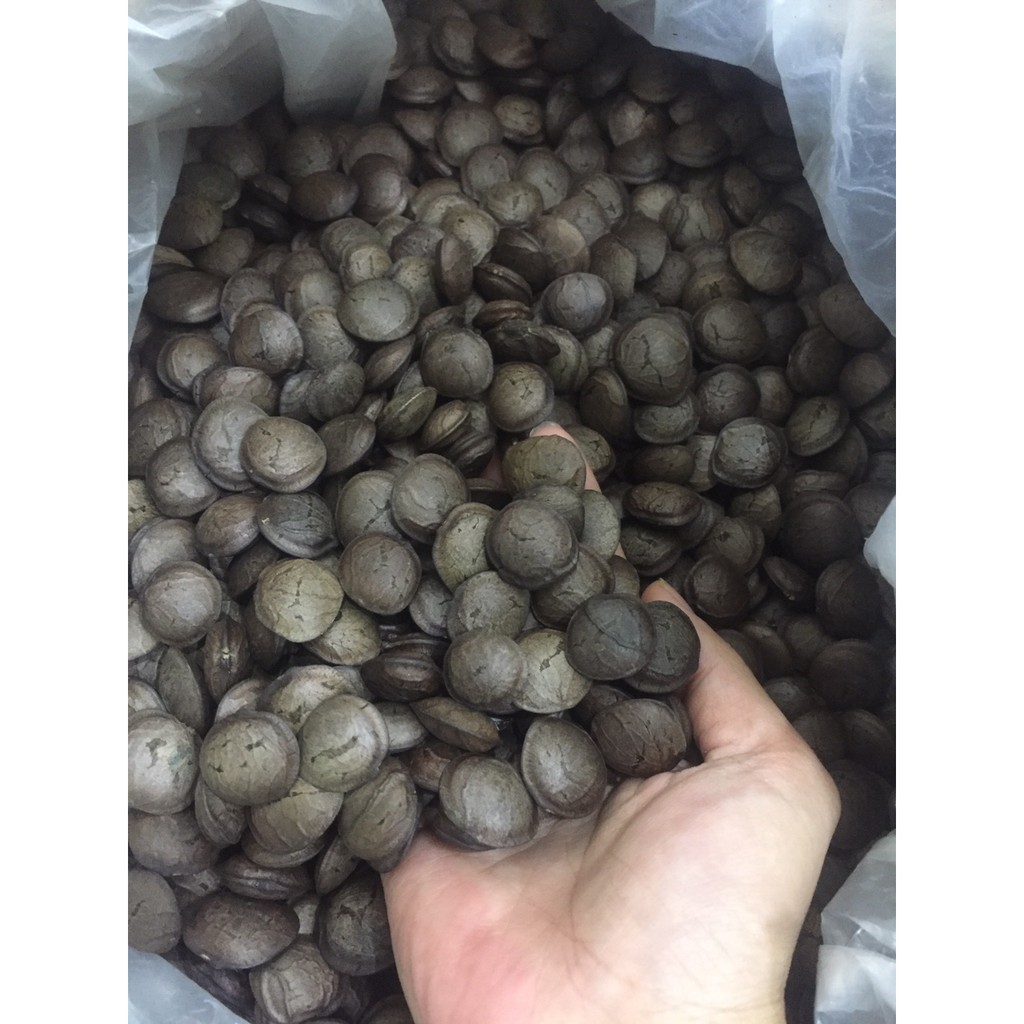 Hạt Sachi rang chín ăn liền 500Gr