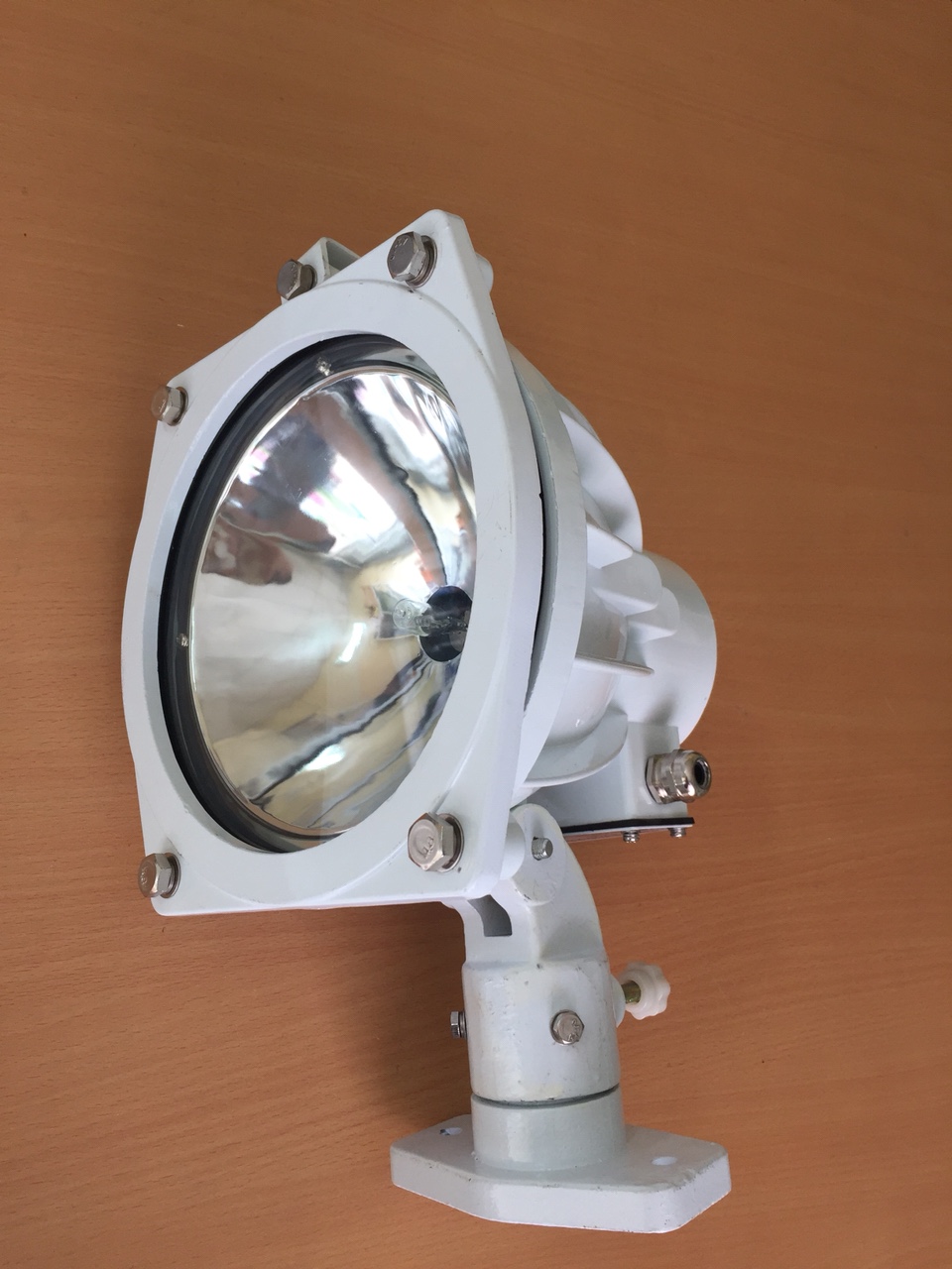 Đèn pha luồng hàng hải chiếu sáng sự cố 12/24V 100W, model: TG8
