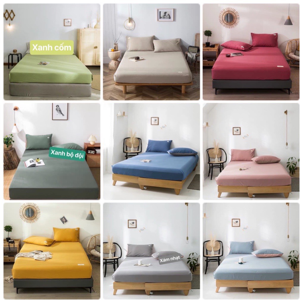 Sét ga gối cotton Tici phong cách hàn Quốc ( ga và 2 vỏ gối Tici )