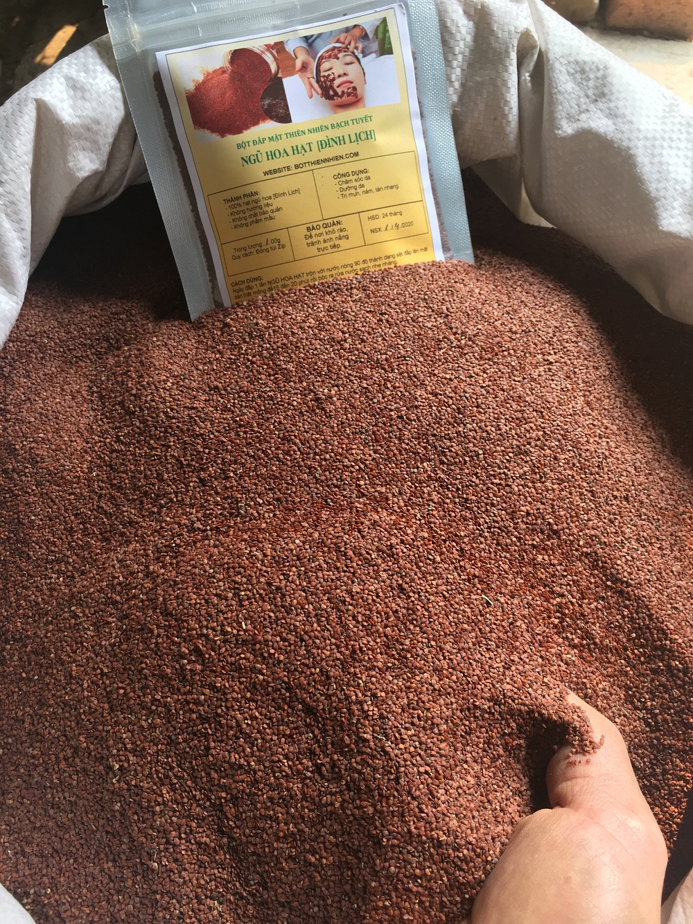 100g Ngũ Hoa Hạt (Đình Lịch) Bạch Tuyết
