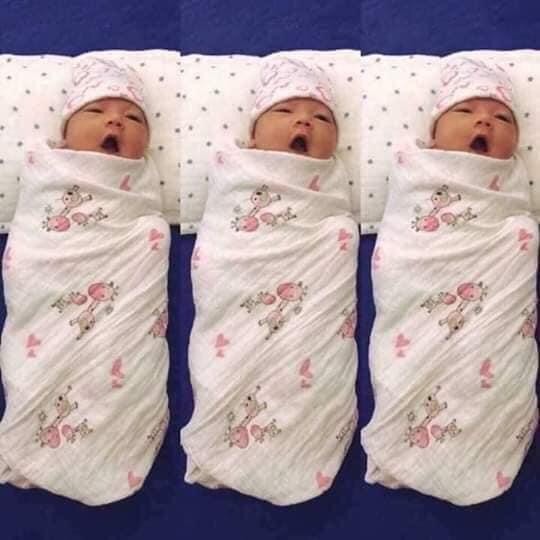 KHĂN ADEN MUSLIN SWADDLE 100% ORGANNIC COTTON