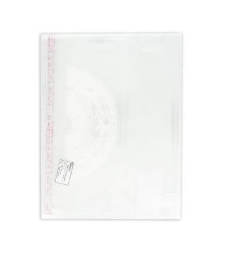 Bọc nylon A4 Hồng Hà (210x297mm) - 3389