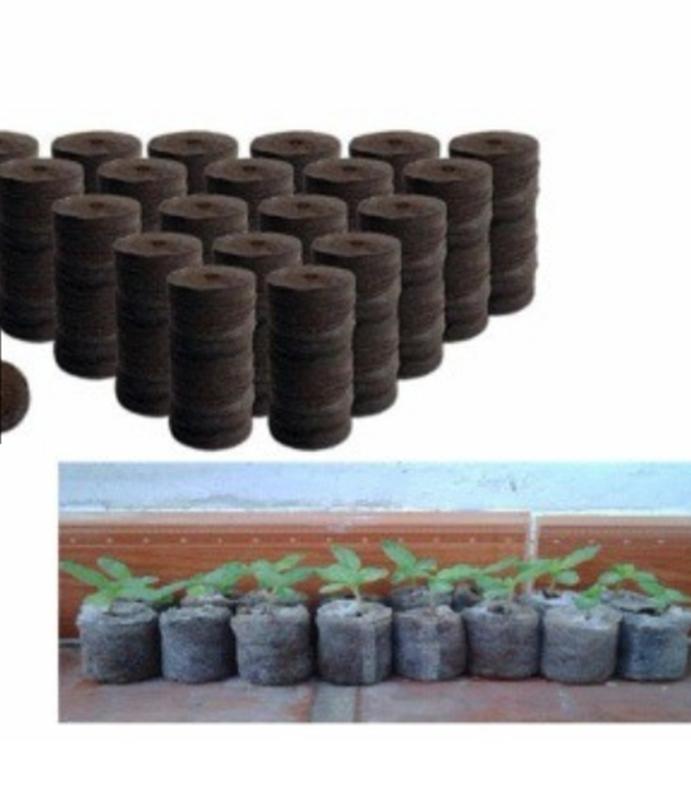 10 Viên nén xơ dừa
