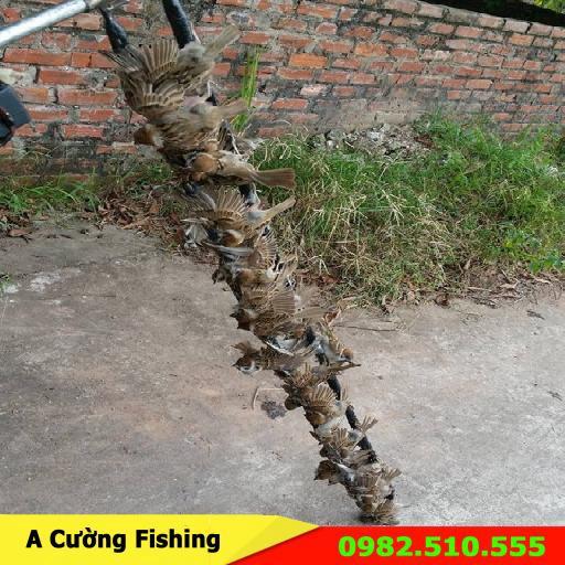 5 hũ keo bẫy chim sẻ  (cam kết bảo hành đổi trả trong 2 tuần đầu)