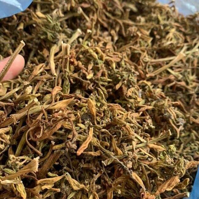 500g hoa đu đủ đực khô