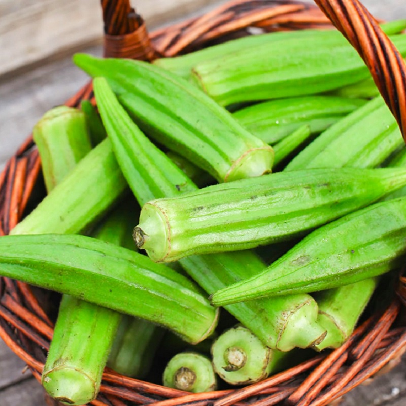 Hạt giống Đậu Bắp xanh Ấn Độ TN