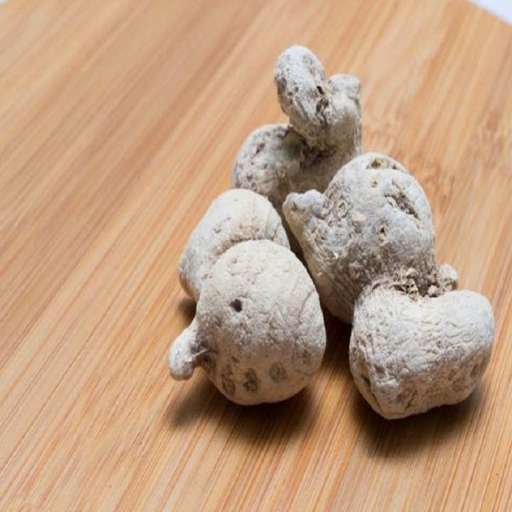 Cây tam thất nam giống chuẩn