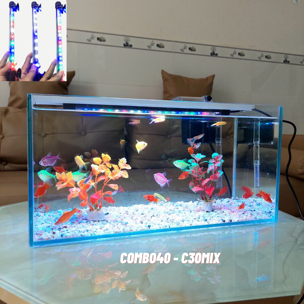 Bể cá mini 40cm COMBO đầy đủ phụ kiện