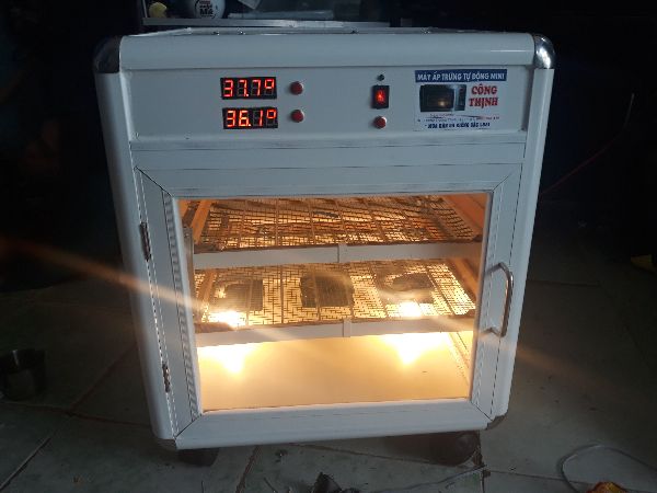 MÁY ẤP TRỨNG TỰ ĐỘNG MINI CÔNG THỊNH (120 TRỨNG)