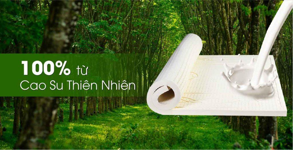 (HOT) COMBO 8 MÓN NỆM CAO SU 100% THIÊN NHIÊN HOÀNG LONG 1M6X2MX10CM