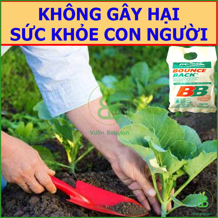 Phân Hữu Cơ Đậm Đặc Bounce Back Gói 1Kg