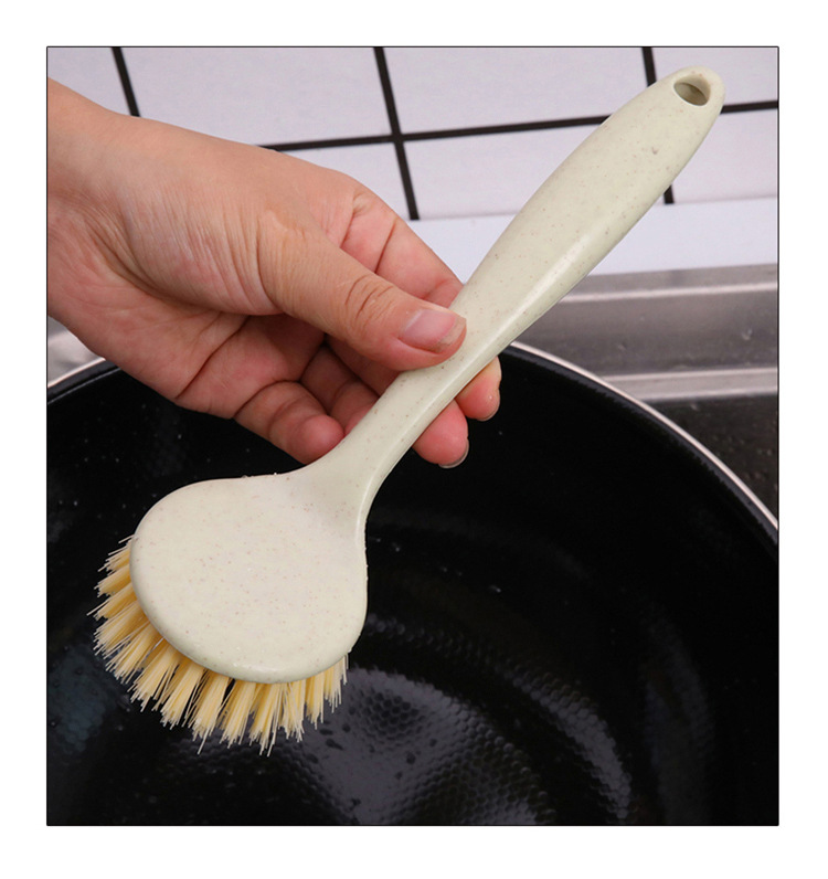 Cây rửa chén lúa mạch