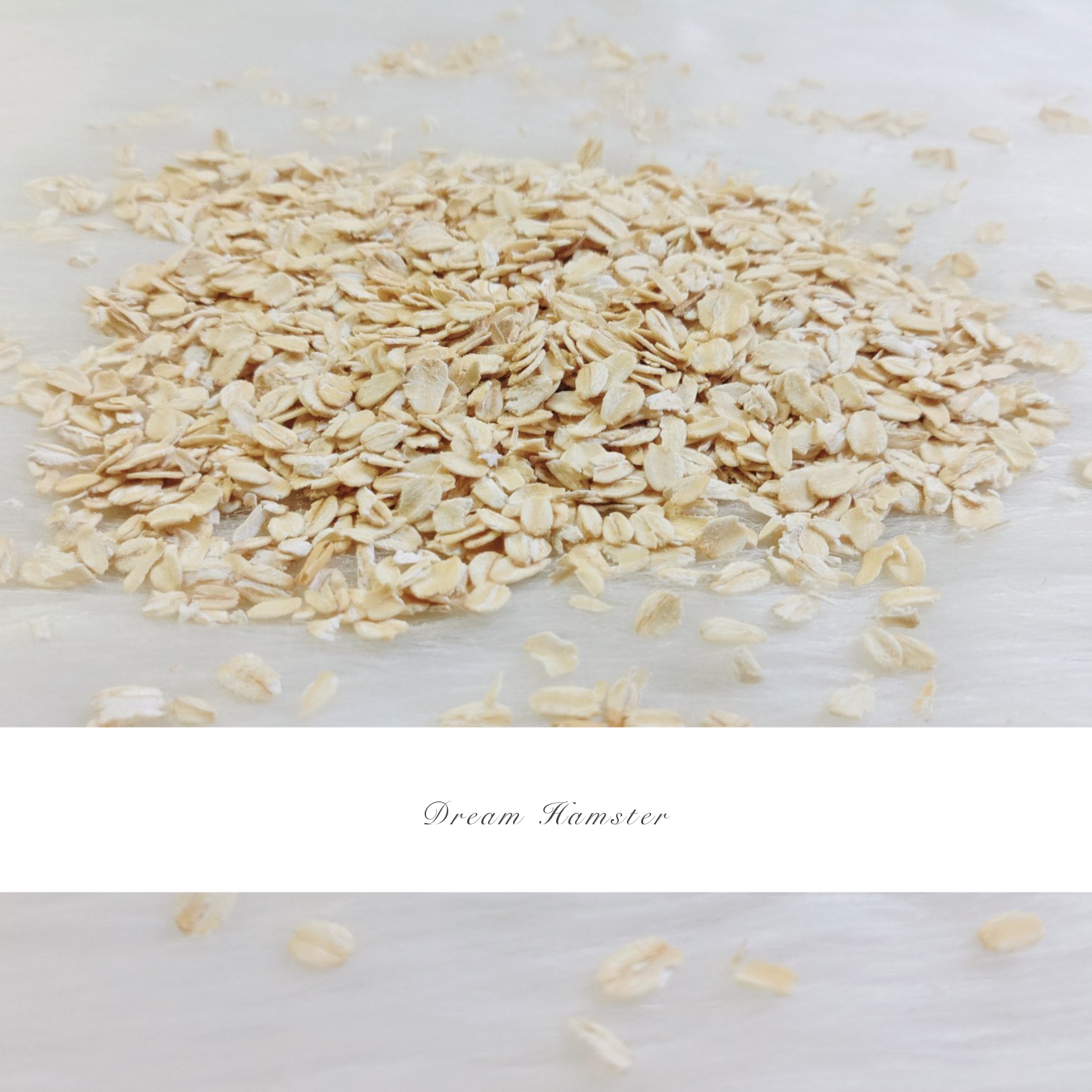 Yến mạch bổ dưỡng cho Hamster (100gr)