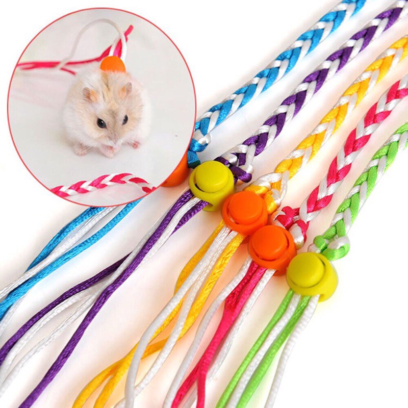 dây dắt hamster