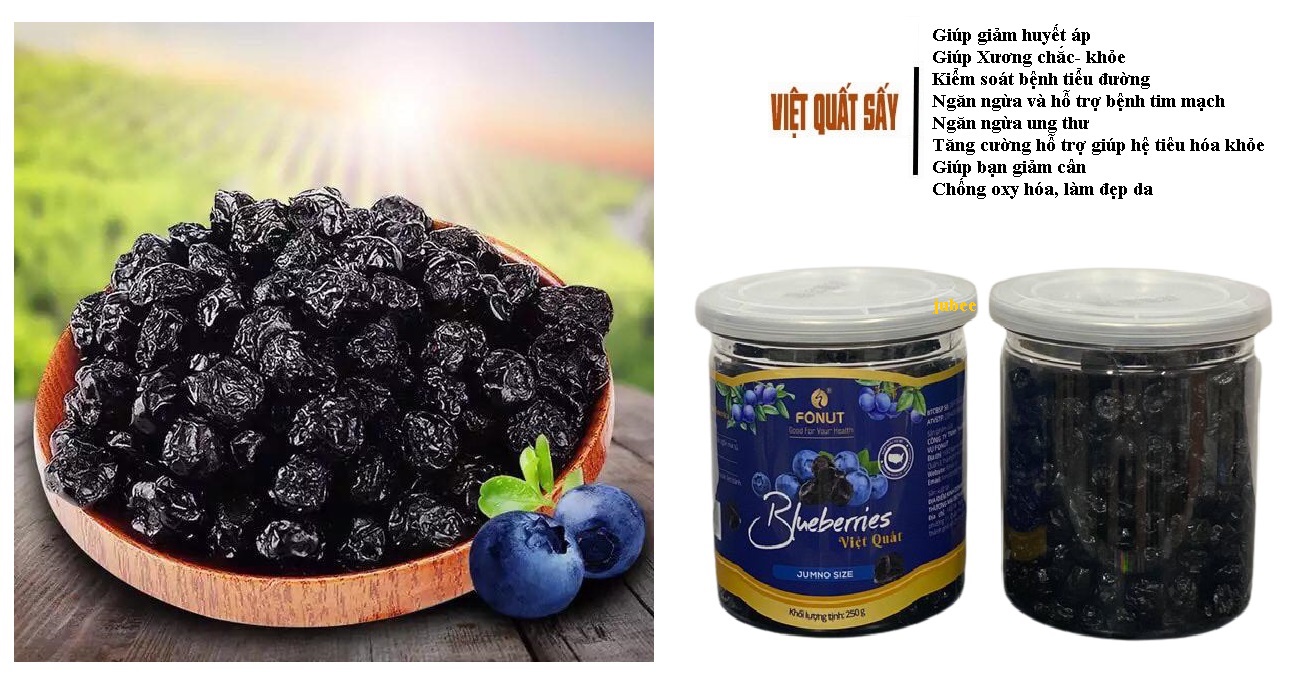 Việt quất khô cao cấp Fonut 250gram