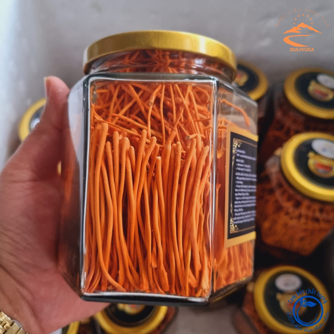 Nấm Đông trùng hạ thảo khô, sấy thăng hoa nguyên sợi Huy Cương thượng hạng . Trà đông trùng hạ thảo ngâm mật ong, ngâm rượu