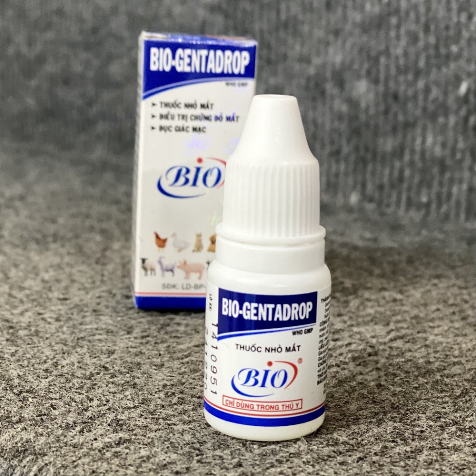 Nhỏ mắt Bio Gentadrop cho chó mèo