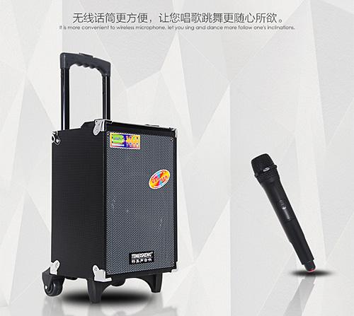 [HCM]Loa Kéo Di Động Temeisheng A8-2T
