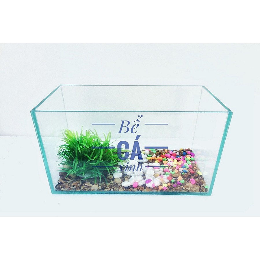 Bể cá mini 30*15*18 kèm lọc thác mini ( tặng cây và thức ăn)