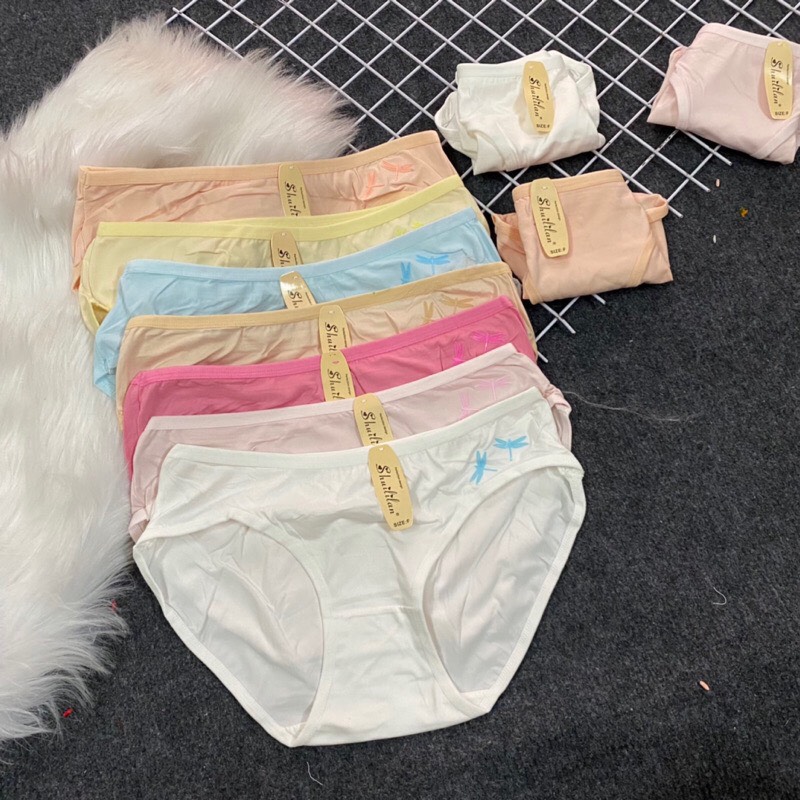 Combo 10 Quần Cotton lót nữ Thái , chuồn chuồn thêu đôi, size 40-50kg