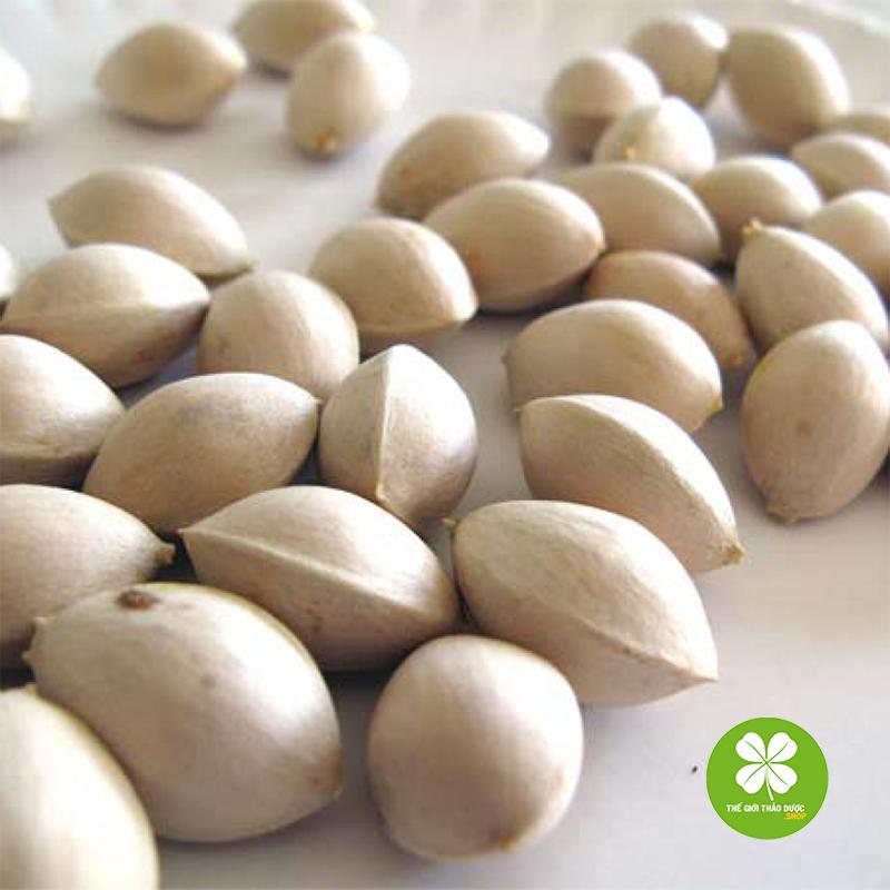 Bạch quả (gói 1kg) - TD113