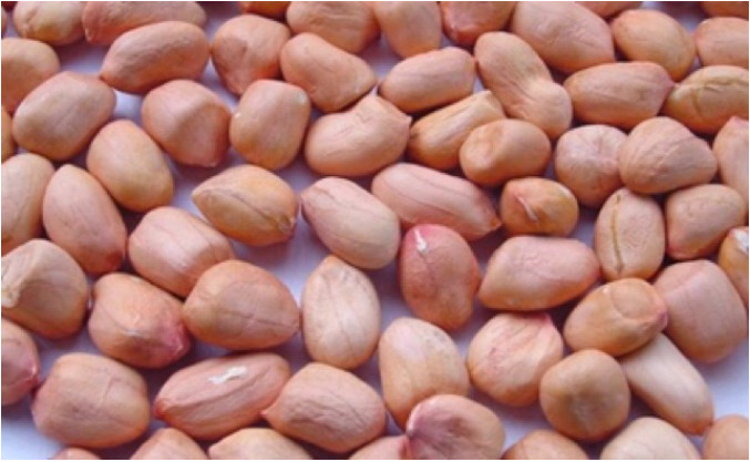 đậu phộng vườn 1kg