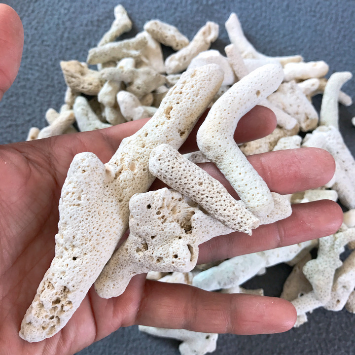 1kg San Hô Vụn, Trang Trí, Lọc Nước, Tăng Ph