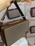 [Tặng Kèm 2 Mic] Loa Bluetooth - Loa Karaoke Gia Đình QiXi SK 2036 - Pin Khủng, Bass Siêu Trầm, Âm Thanh Cực Đỉnh, Bluetooth 5.0, Thiết Kế Sang Trọng, Loa Vỏ Gỗ, Loa Hát Karaoke Mini, Loa Kéo Bluetooth, Loa Karaoke Ngang, Loa Kéo Cao Cấp Rẻ - MAMORU