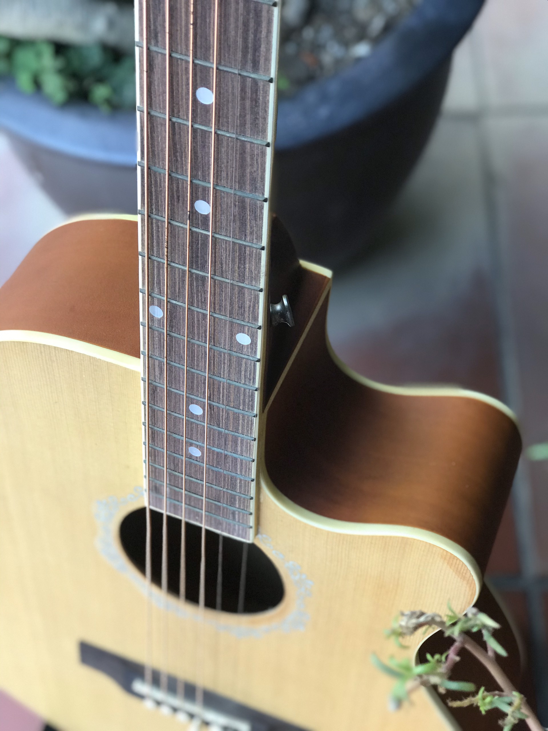 Đàn Guitar Acoustic Vines VA3940N Chính Hãng