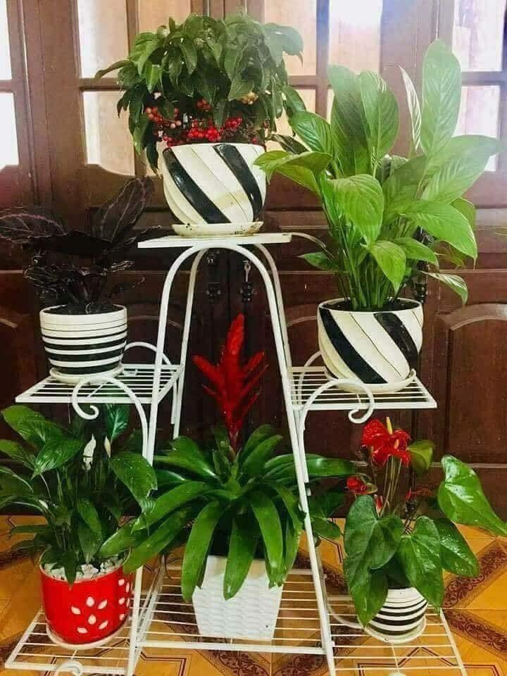 Kệ sắt để chậu hoa, cây cảnh 6 tầng