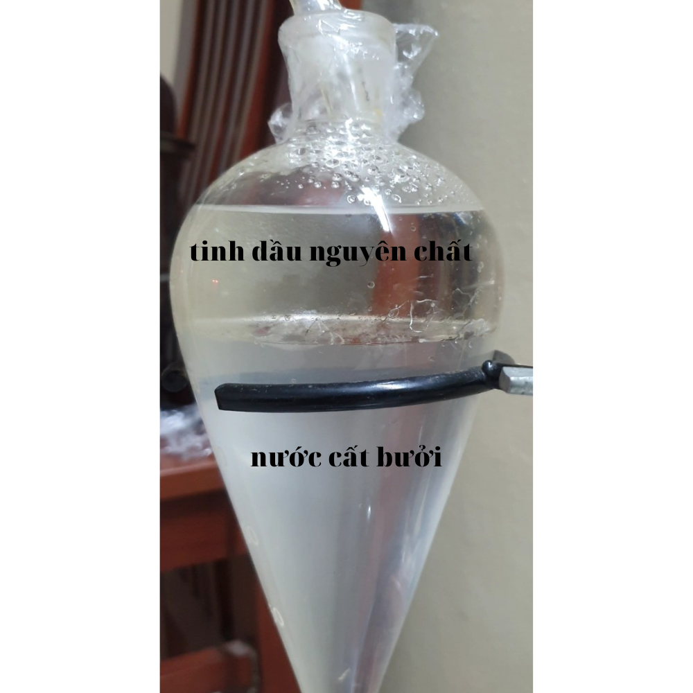 xịt dưỡng tóc bưởi xanh Liên Hương