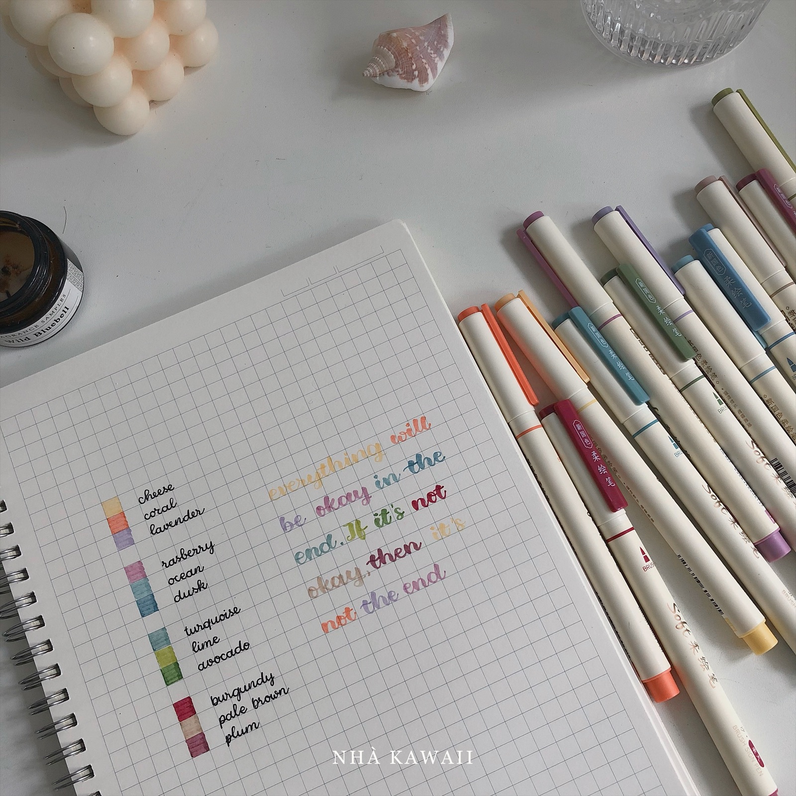 Bút viết calligraphy DS Soft Brush Sign Pen (mẫu mới)