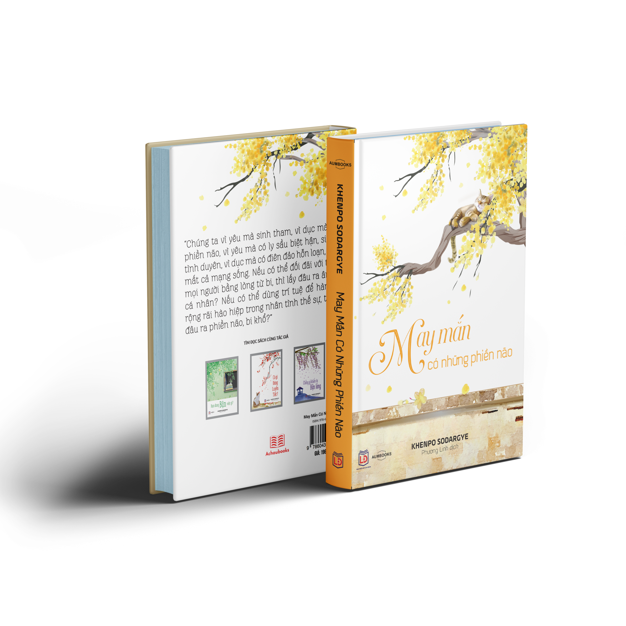 Combo Sách Có Gì Đáng Luyến Tiếc và May Mắn Có những Phiền Não - Tôn Giáo, Nghệ Thuật Và Văn Hóa ( Bộ 2 cuốn Tiếc ) - Hình ảnh 3