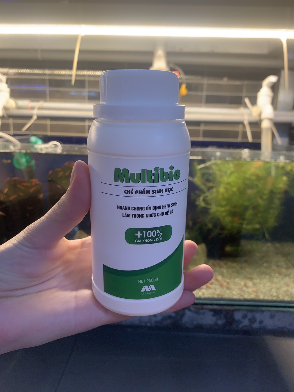 Vi sinh MultiBio giúp trong nước cho hồ cá cảnh, thủy sinh
