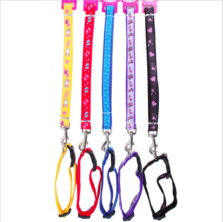Dây dắt thú cưng kèm vòng cổ dày dặn