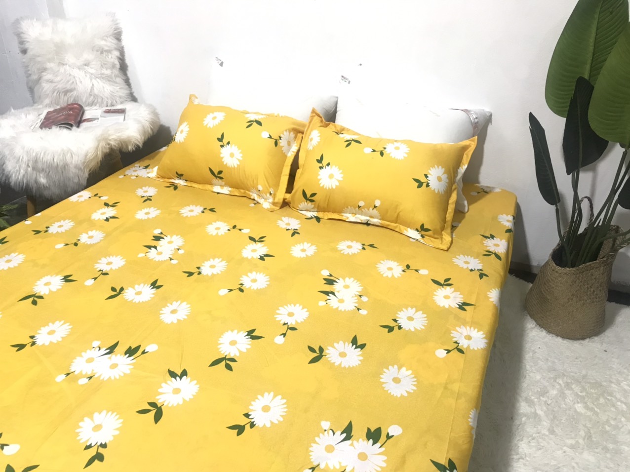 Bộ Ga Gối 3 Món ( Gồm 1 Ga Bo Chun + 2 Vỏ Gối) Mã CH213