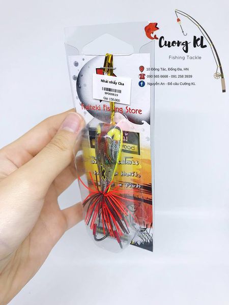 Nhái gỗ nhảy Thailand đầu rắn ( 10g )