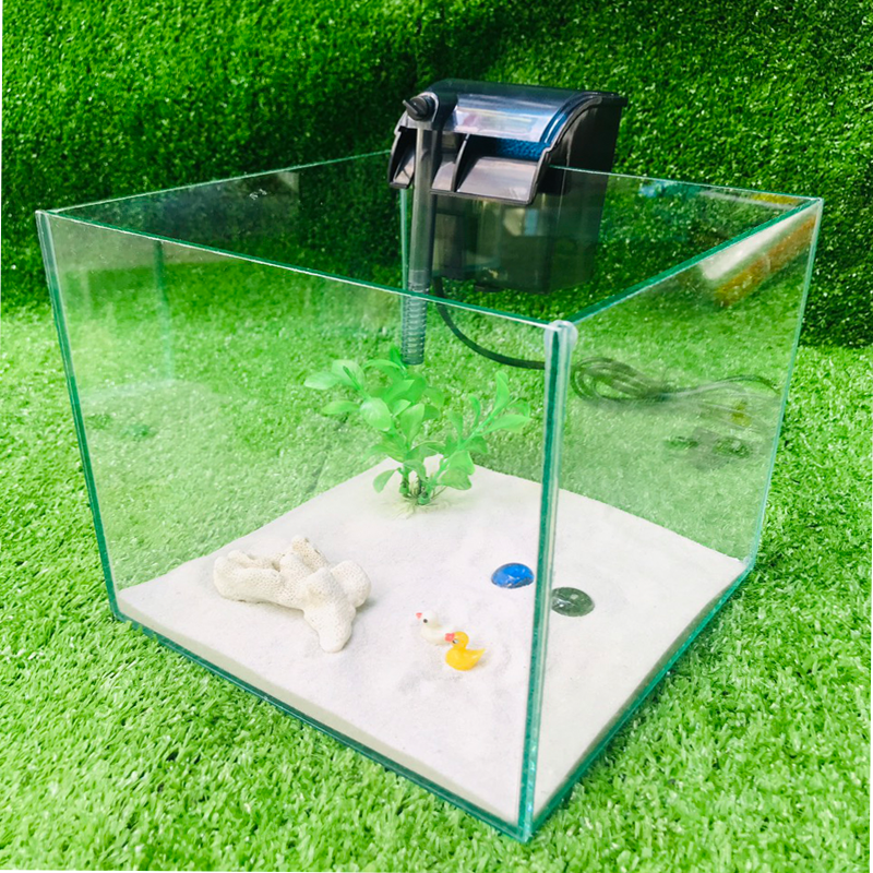 bể cá cubic - combo - bể cá mini