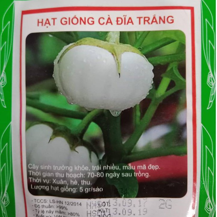 Hạt giống cà đĩa trắng giòn LUCKY SEEDS