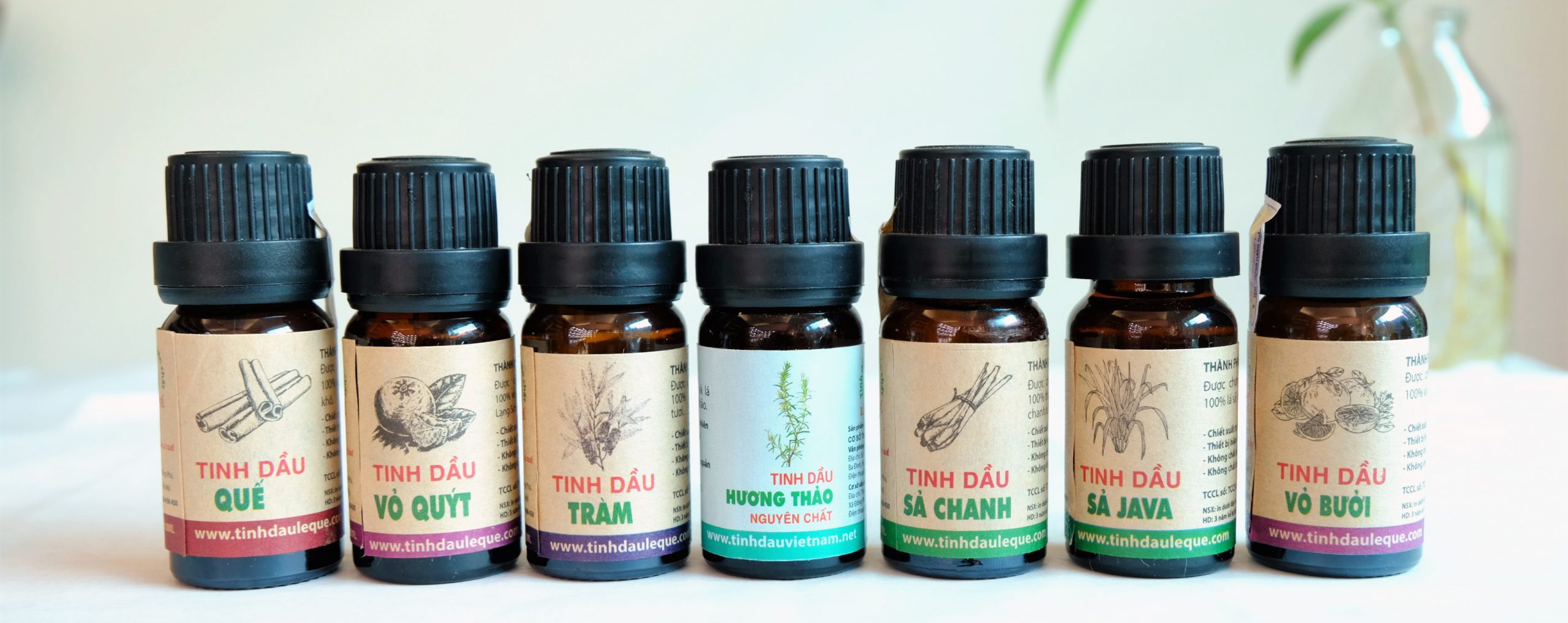 (Lê Quế) Tinh dầu long não Lê Quế Chai 10ml Tinh dầu nguyên chất Koshka Home