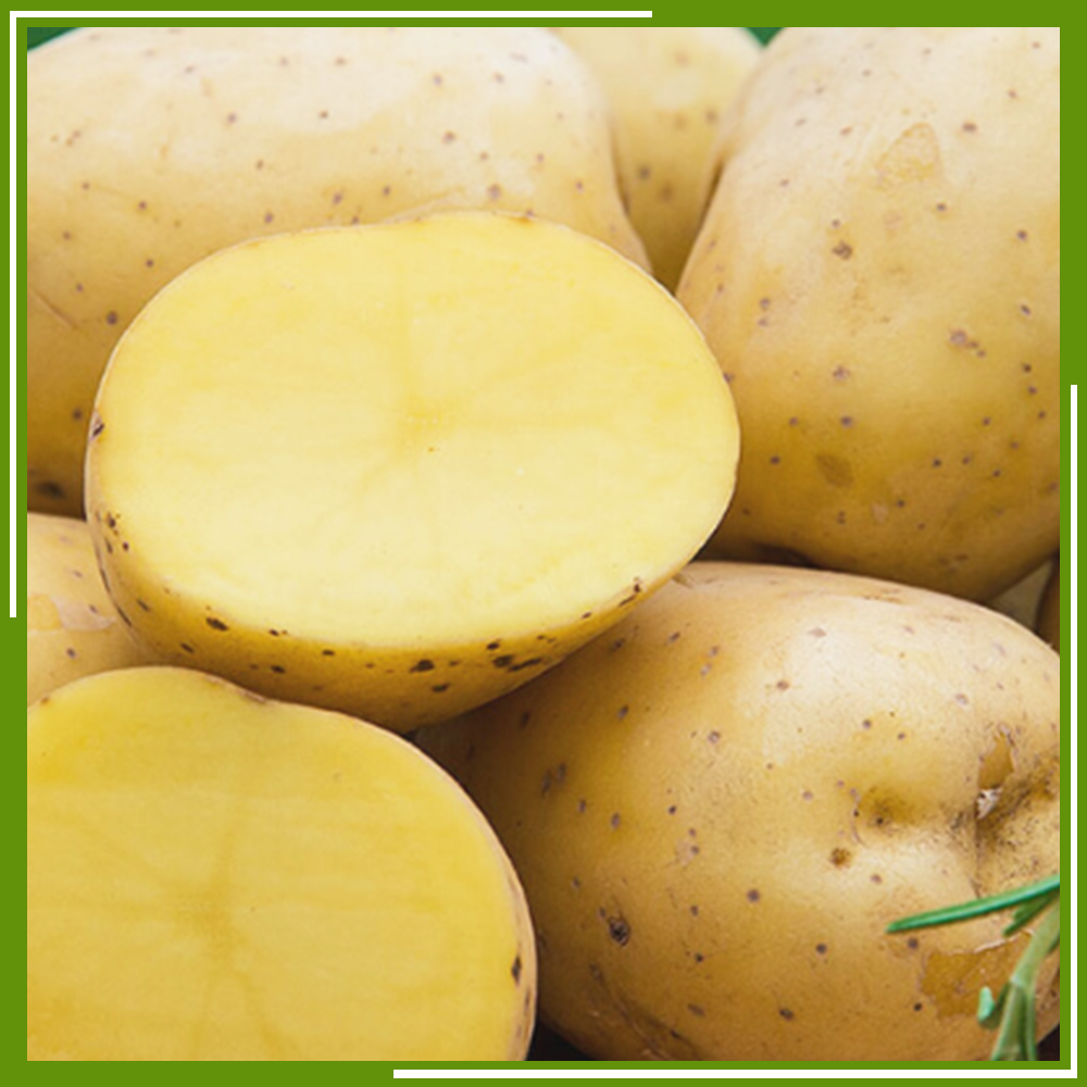 HCM - Khoai tây (500 g) - [Giao nhanh TPHCM]